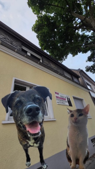 Anzeigenbild