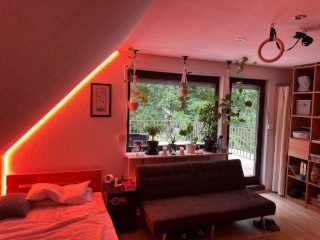 Anzeigenbild: helles 20m2 Zimmer mit großzügigem Balkon in riesigem Haus