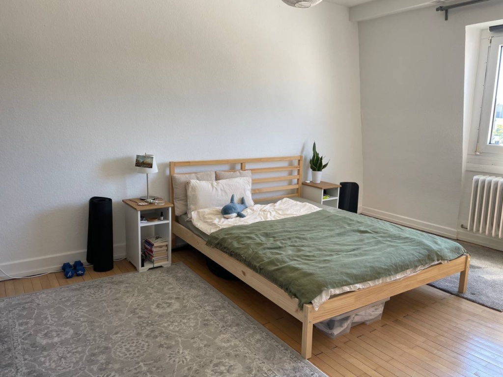 Helle und großzügige 75 m2 Wohnung in der Saarbrücker Innenstadt – bezugsfertig ab 1. Oktober – Großherzog-Friedrich-Straße 103, 66121 Saarbrücken St. Johann – Vorschaubild 5