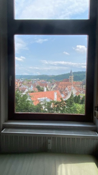 Anzeigenbild: Wunderschöne, zentrale WG an den Weinbergen mit Blick über Esslingen (Internationals Welcome)