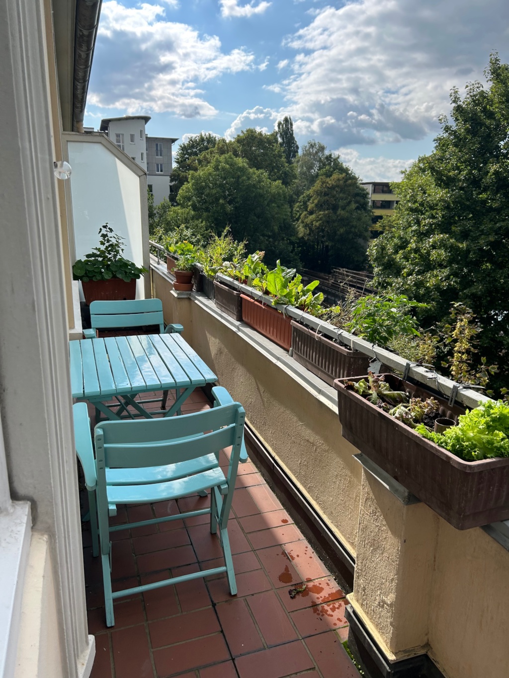 Sonniges Winterhude – Sierichstraße 126, 22299 Hamburg Hamburg – Vorschaubild 6
