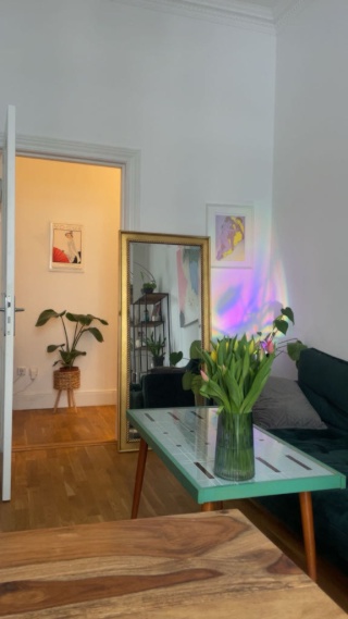 Schöne Altbauwohnung mit Balkon — photo 1