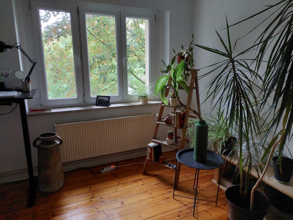Wohnung Berlin Parkstr. - Bild 3