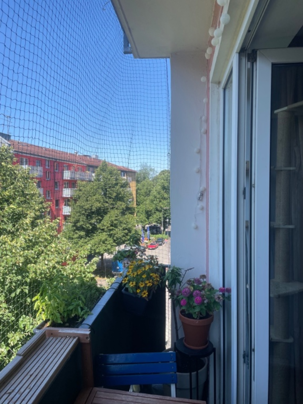 Flatshare Untergiesing-Harlaching Schyrenstraße - picture 5