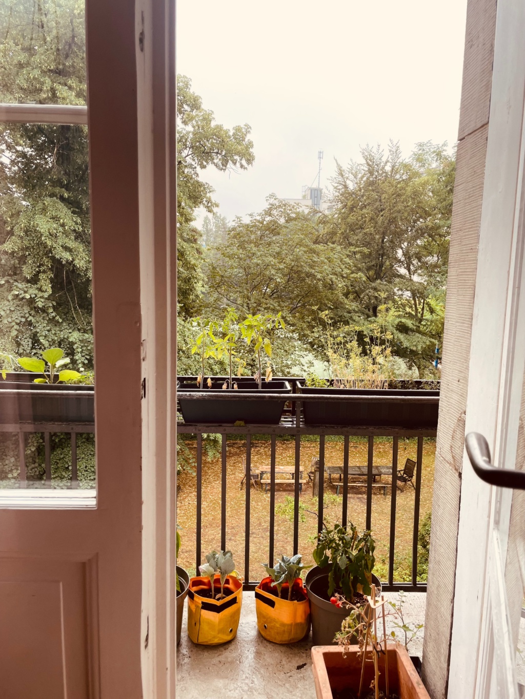 Wohnung Berlin Derfflingerstraße 6 - Bild 4