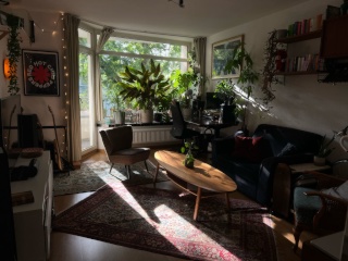 Anzeigenbild: Voll ausgestattete Wohnung in der Bonner Nordstadt für ein Paar zur Zwischenmiete