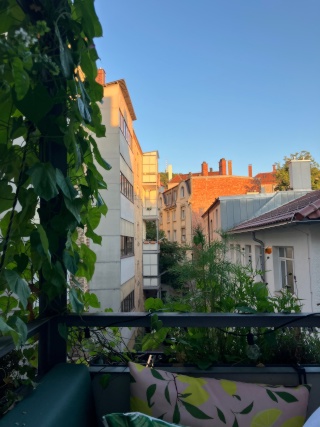 Altbau mit Balkon im Heusteigviertel/Zimmer