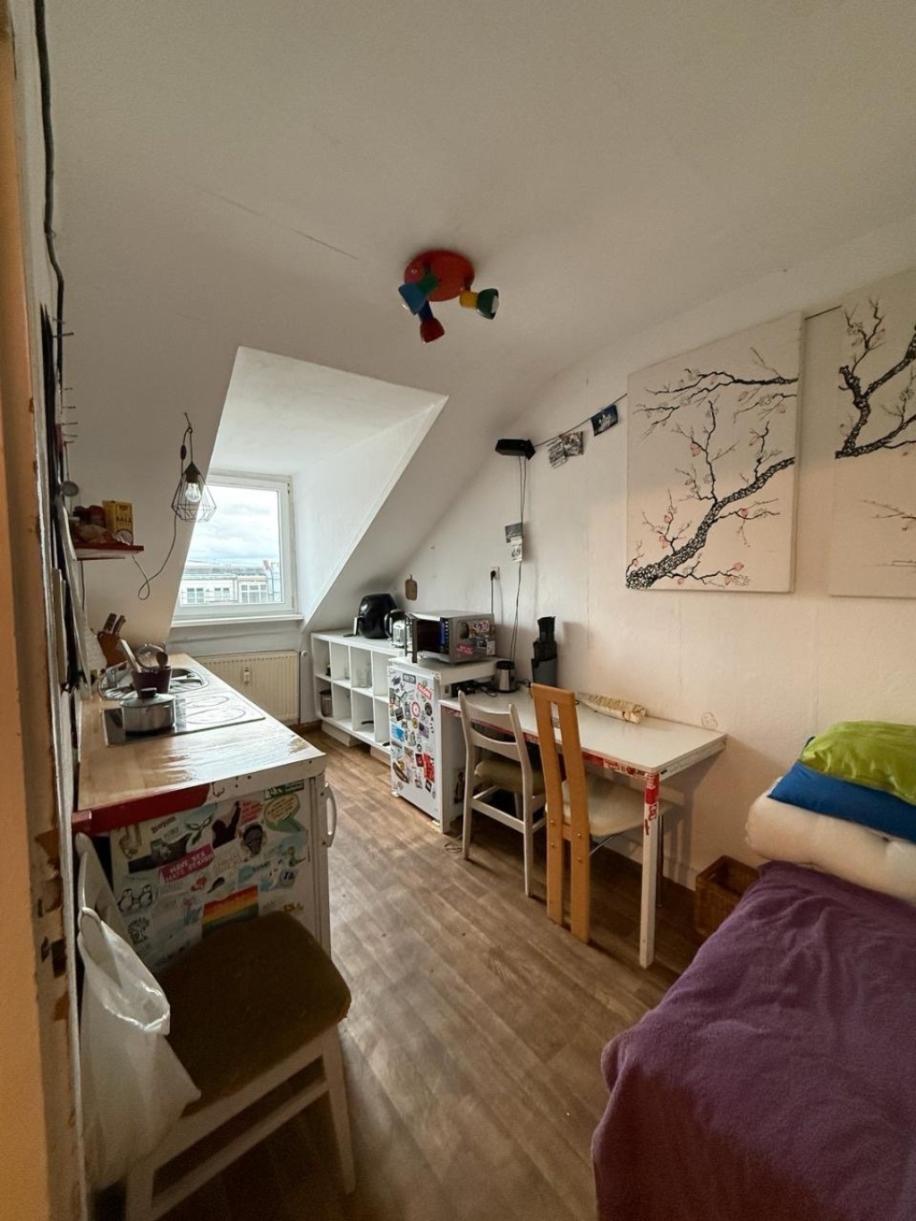 WG-Zimmer Innenstadt-West Douglasstraße 10 - Bild 10