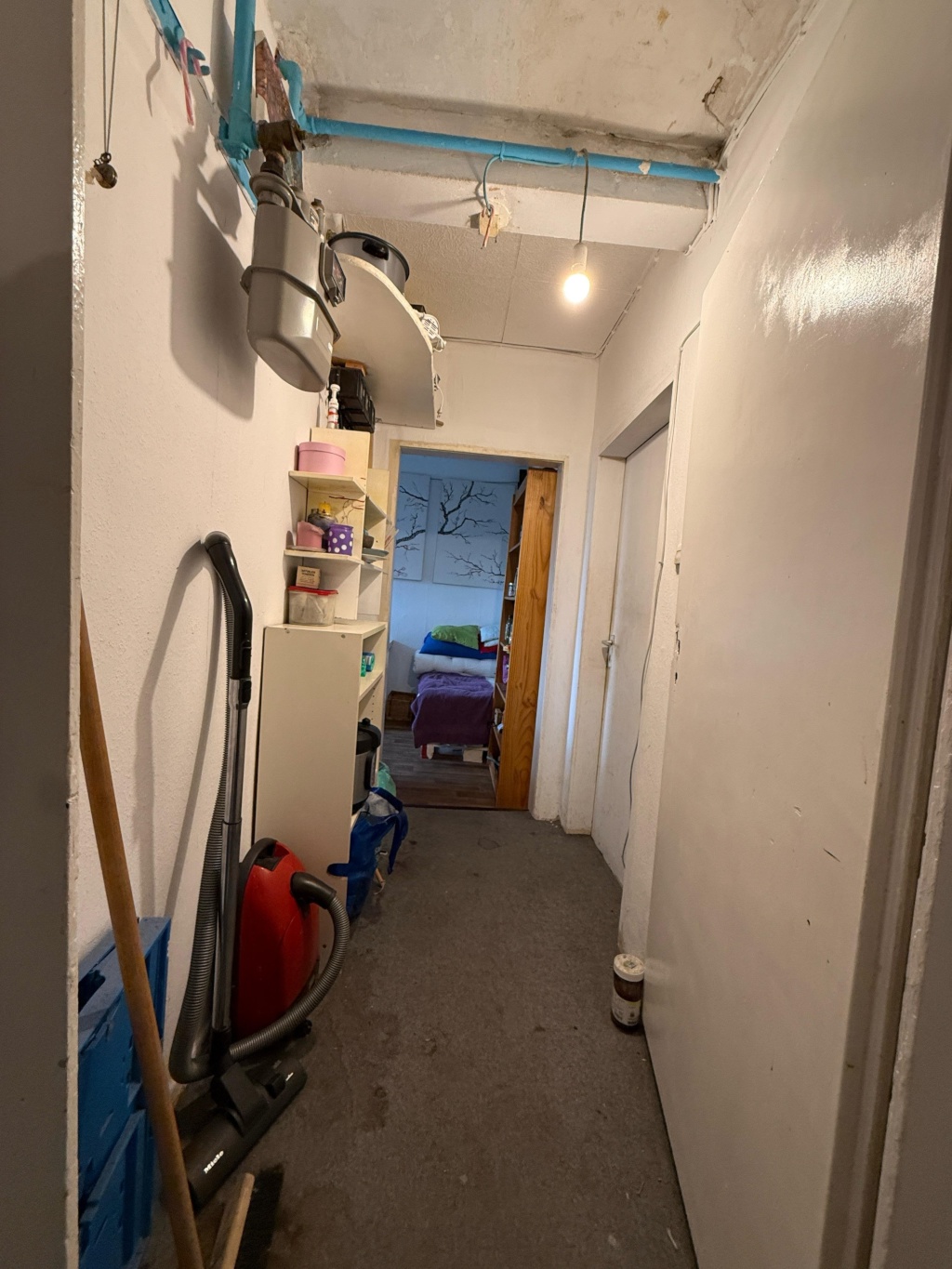 WG-Zimmer Innenstadt-West Douglasstraße 10 - Bild 7