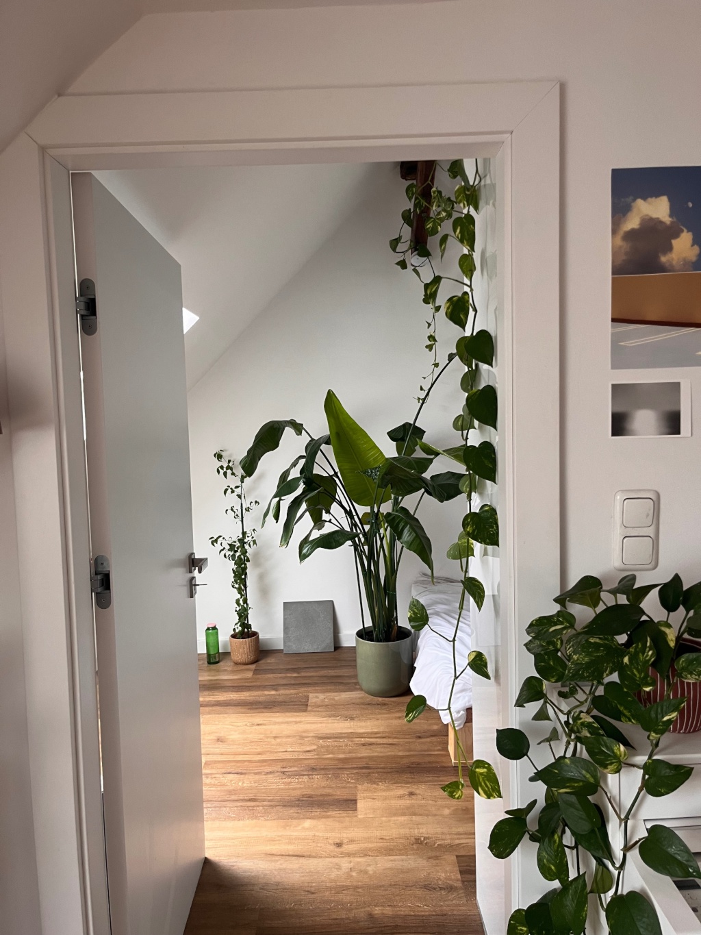 Süße Wohnung mit noch besserer Aussicht über das Martinsviertel – Rhönring 27, 64289 Darmstadt Darmstadt – Vorschaubild 6