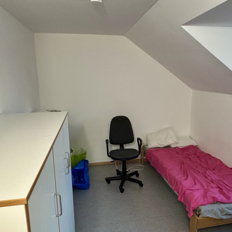 Flatshare Obergiesing-Fasangarten Sintpertstraße 44 - picture 2