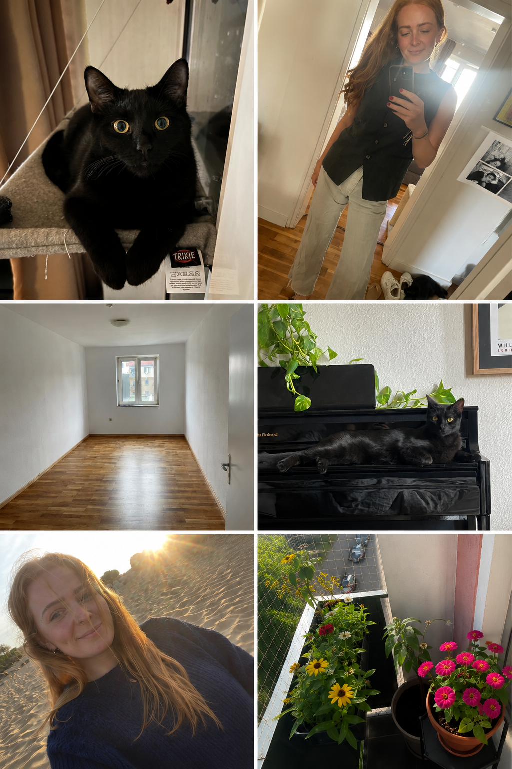 Flatshare Untergiesing-Harlaching Schyrenstraße - picture 2