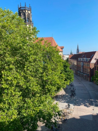 Anzeigenbild