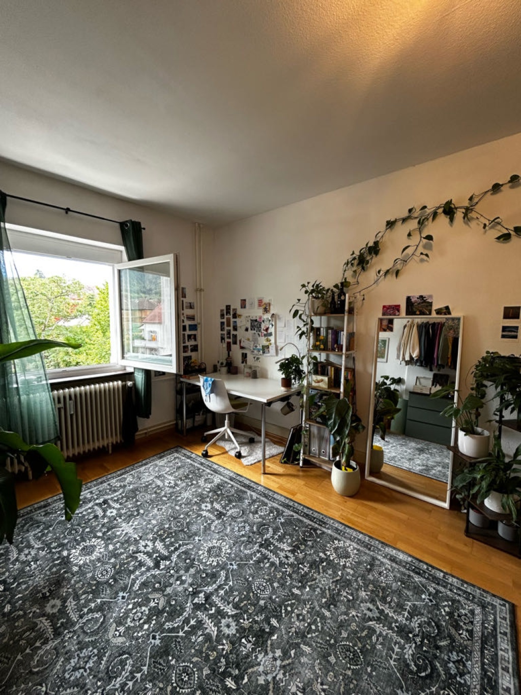 Flatshare Wiehre Turnseestraße - picture 4
