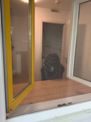 Imagen del anuncio: Privates Zimmer in einer 3er-WG verfügbar