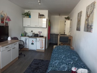 Anzeigenbild: Ein-Zimmer-Wohnung Untermiete