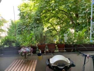 Wunderschöne 2 Zimmer Wohnung mit Balkon — photo 1