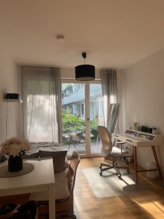 Anzeigenbild: Gemütliches 1 Zimmer Apartment in der Regensburger Innenstadt