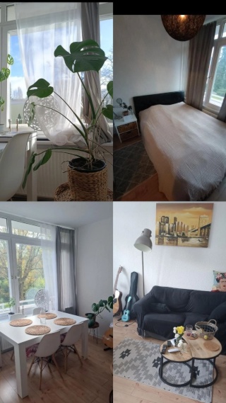 gemütliche 2 Zimmer Wohnung (40qm) + Balkon 7qm im Grünen — photo 1