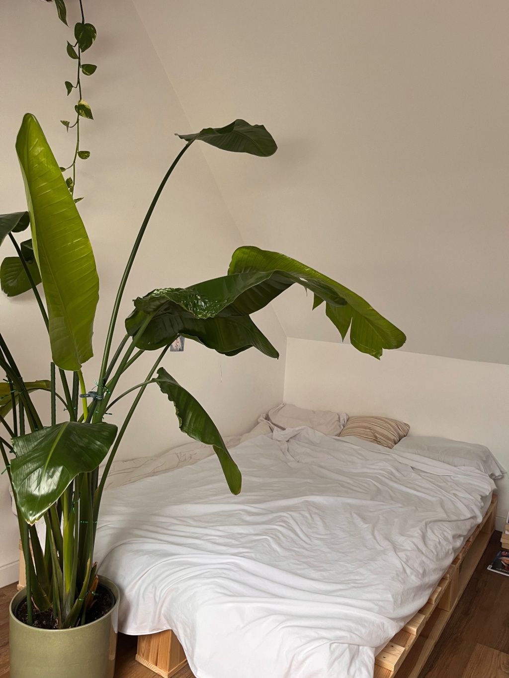 Süße Wohnung mit noch besserer Aussicht über das Martinsviertel – Rhönring 27, 64289 Darmstadt Darmstadt – Vorschaubild 9