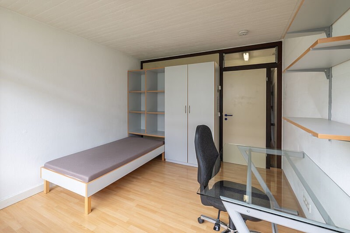 Privates 1-Zimmer-Apartment (eigenes Bad & Küche) nahe Uni Konstanz!