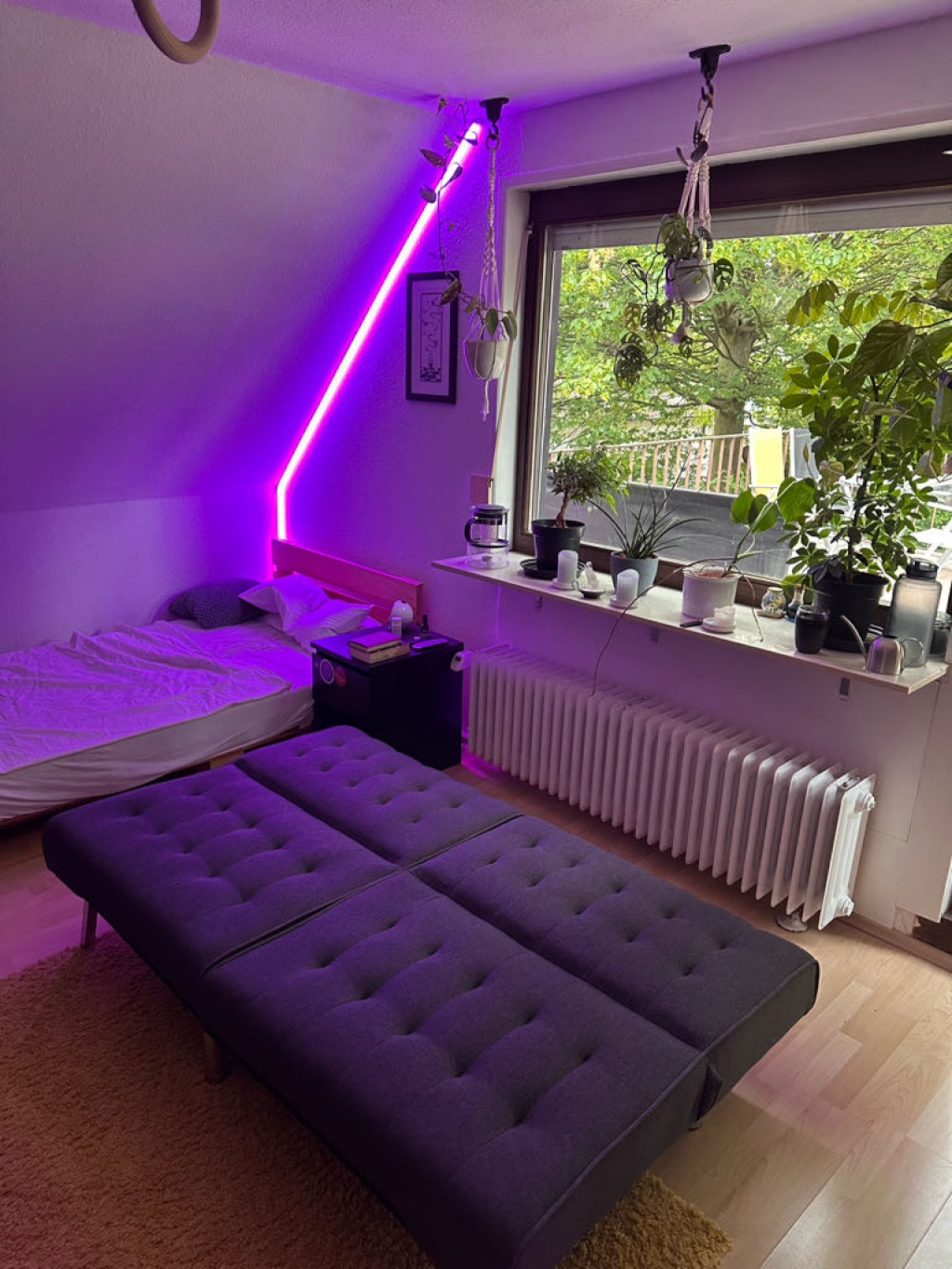 WG-Zimmer Zeppelinheim Mathilde-Rösch-Straße 5 - Das Sofa lässt sich zum Gästebett umklappen