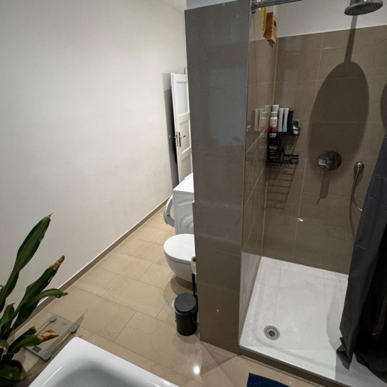 Flatshare Schwanthalerhöhe - Westend Astallerstraße - picture 3