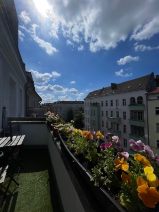 apartment at boxi full furnished short term no anmeldung — photo 1