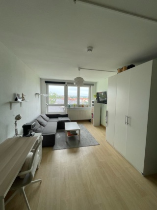 Anzeigenbild: Gemütliche Einraumwohnung in Erfurt – Johannesvorstadt