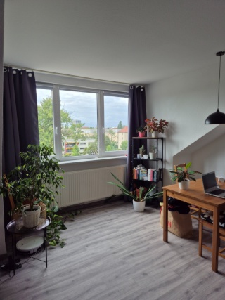 Befristete 2 Zimmerwohnung — photo 1