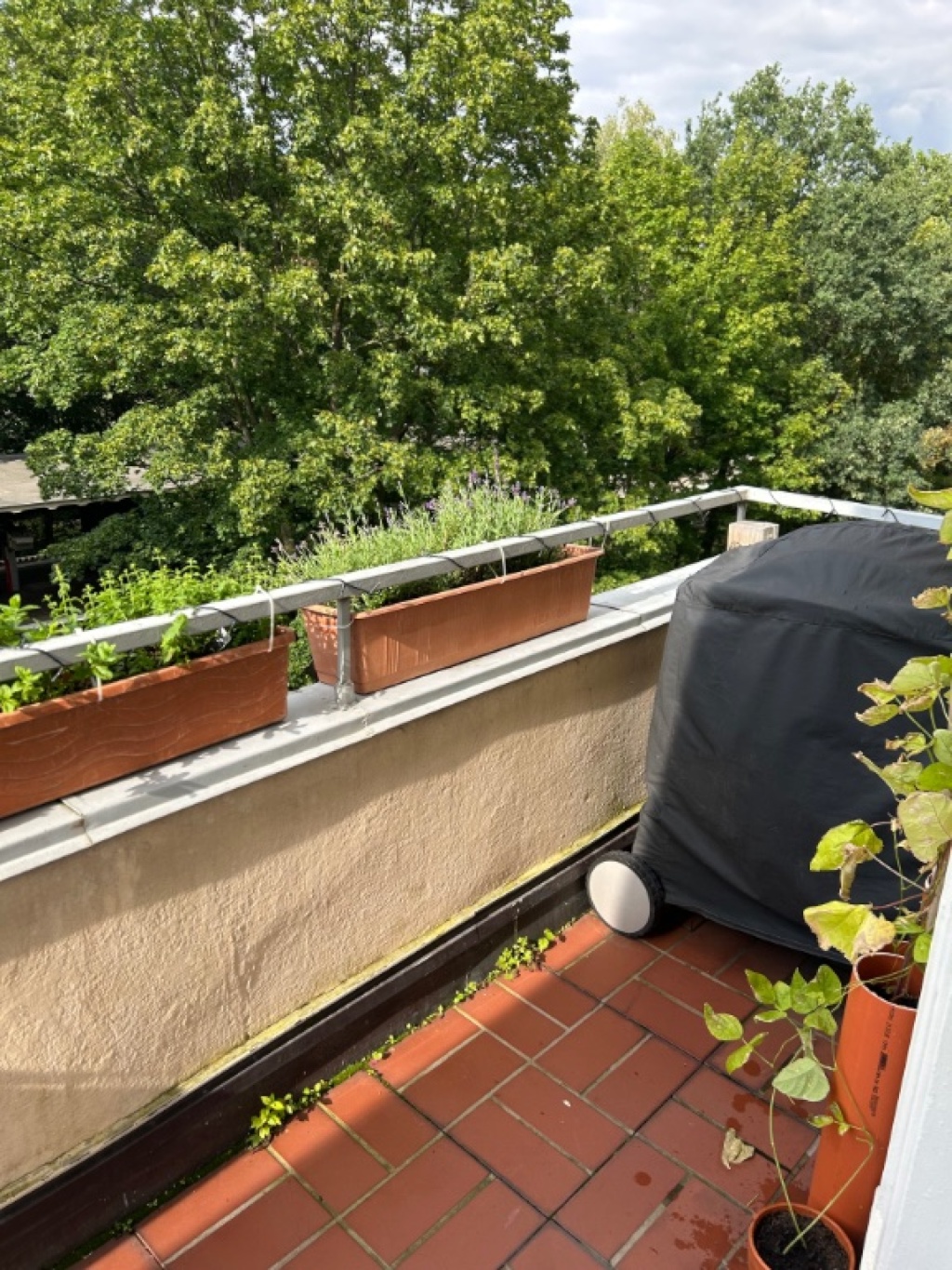 Sonniges Winterhude – Sierichstraße 126, 22299 Hamburg Hamburg – Vorschaubild 7
