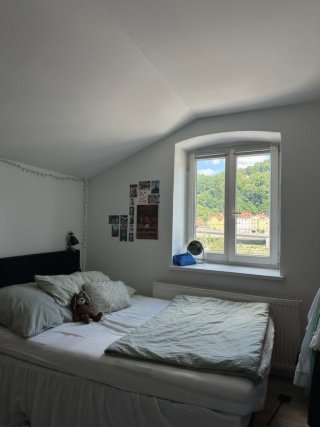 Ad image: gemütliche 5er WG sucht Zuwachs! ⭐️