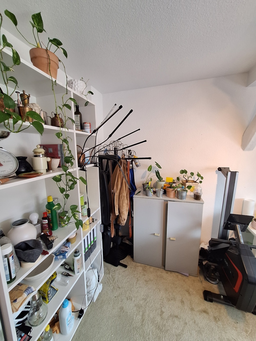 WG-Zimmer Innenstadt Werner-von-Siemens Straße 14 - Bild 5