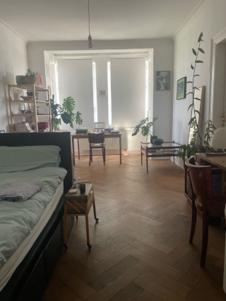 Ad image: Flat in GoHo (perfekt für 4er Wg)