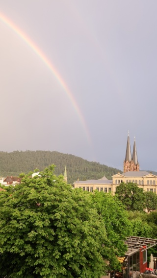 Ad image: Helles, möbliertes 1-Zimmer-Apartment an der Dreisam – Nähe Innenstadt