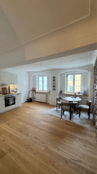 Anzeigenbild: Moderne 2-Zimmer Wohnung in der Innstadt