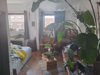 Anzeigenbild: Nachmieter gesucht
