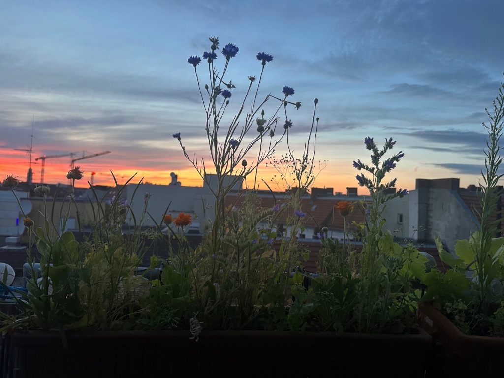 Helle Wohnung in Neukölln mit Dachgarten zu vermieten (nur für Oktober 2026) – Uthmannstr., 12043 Berlin Neukölln – Vorschaubild 11
