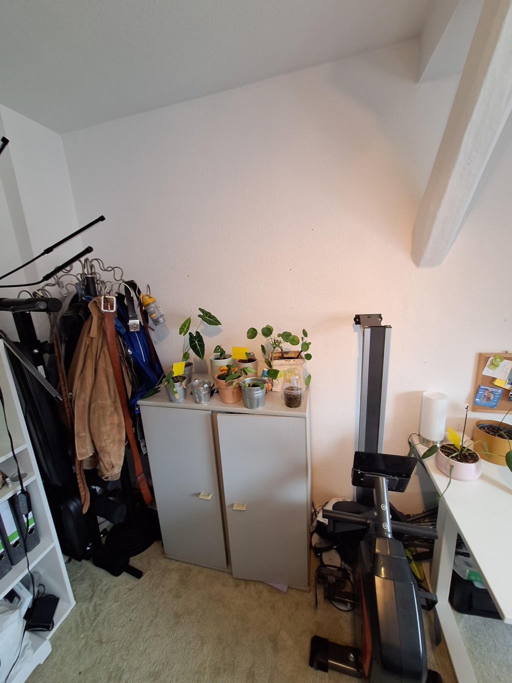 WG-Zimmer Innenstadt Werner-von-Siemens Straße 14 - Bild 4