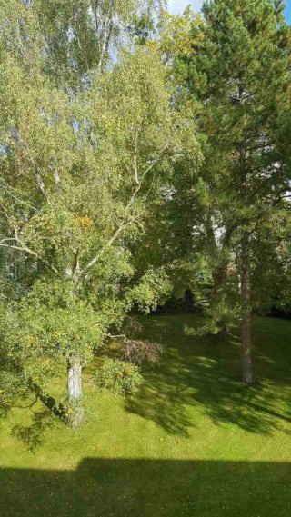 Single Wohnung in Lankwitz - möbliert — photo 1