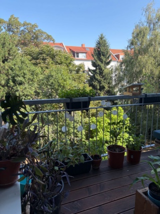 Wohnung zur Zwischenmiete
