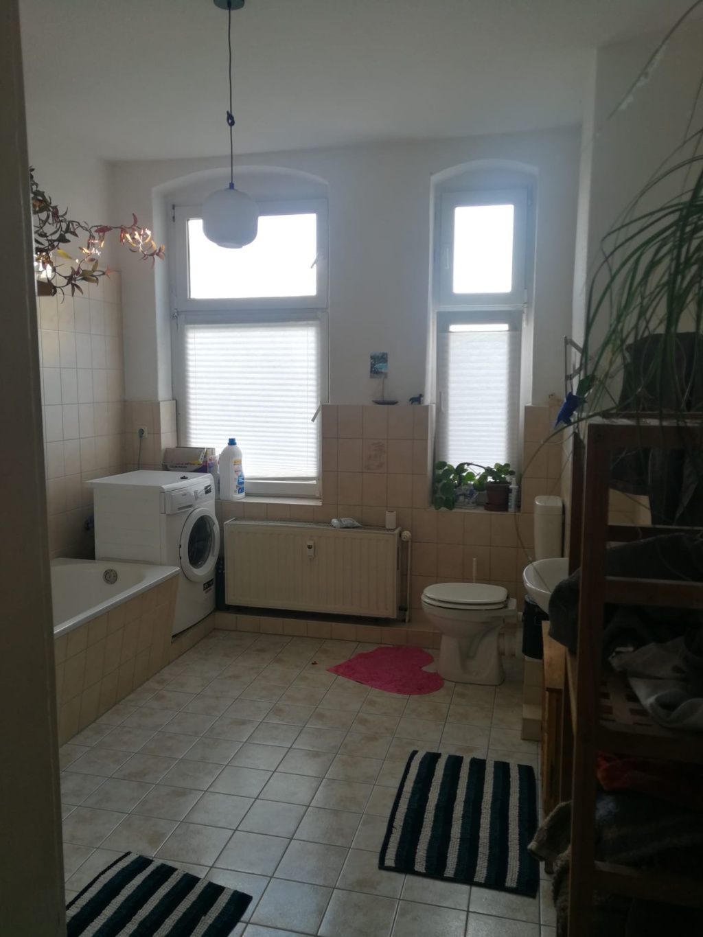 Flatshare Sudenburg Jordanstr. - Bad