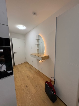 Anzeigenbild: Modernes 1-Zimmer-Apartment ab sofort bis September - Regensburg