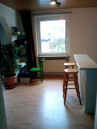 Anzeigenbild: Perfekt-geschnittene sonnige 1.5-Zimmer Wohnung (teilmöbliert)