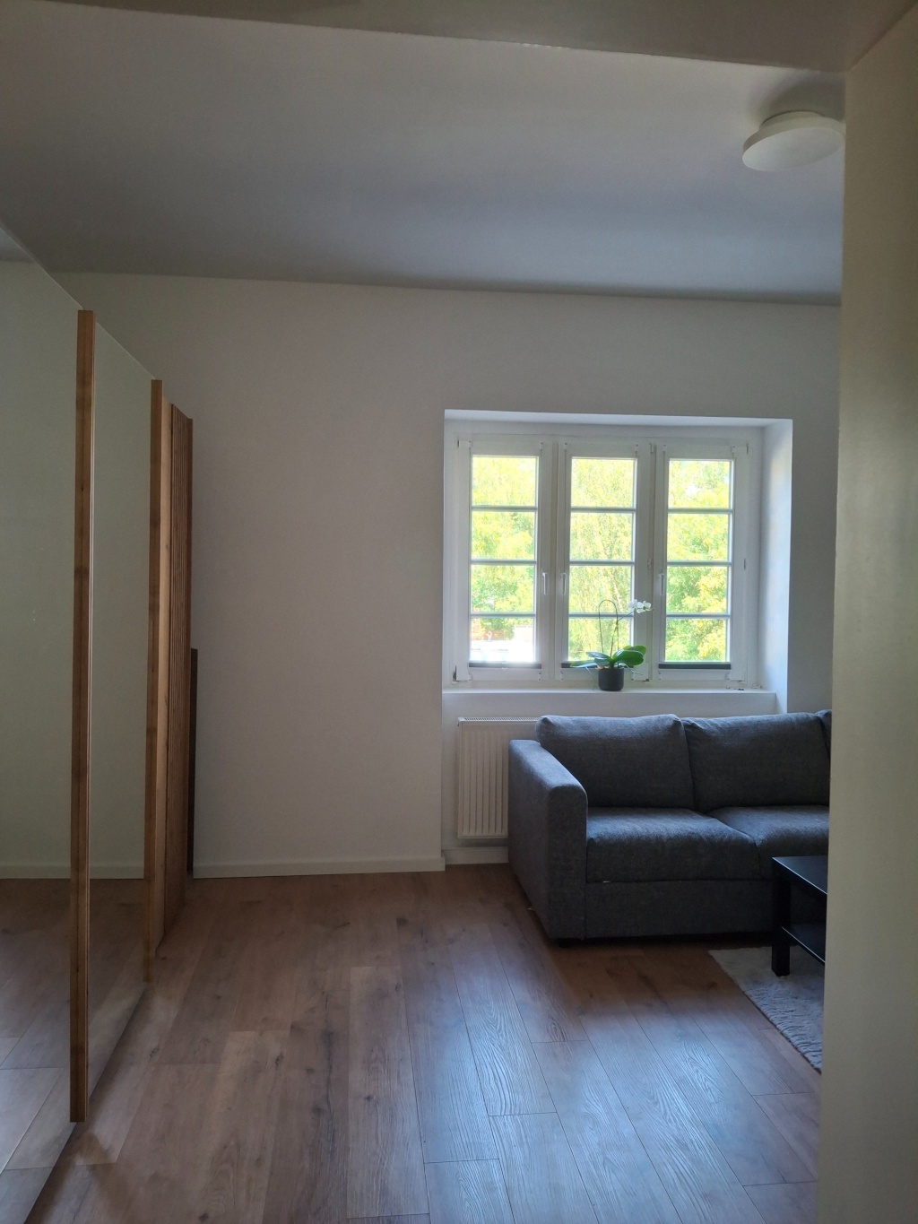 Untermieter gesucht für 2-Raum-Wohnung in Blasewitz – Wormser Straße 32, 1309 Dresden Blasewitz – Vorschaubild 8