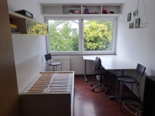 Anzeigenbild: Möbliertes Einzimmer-Apartment in Uninähe (ab 01. August!)