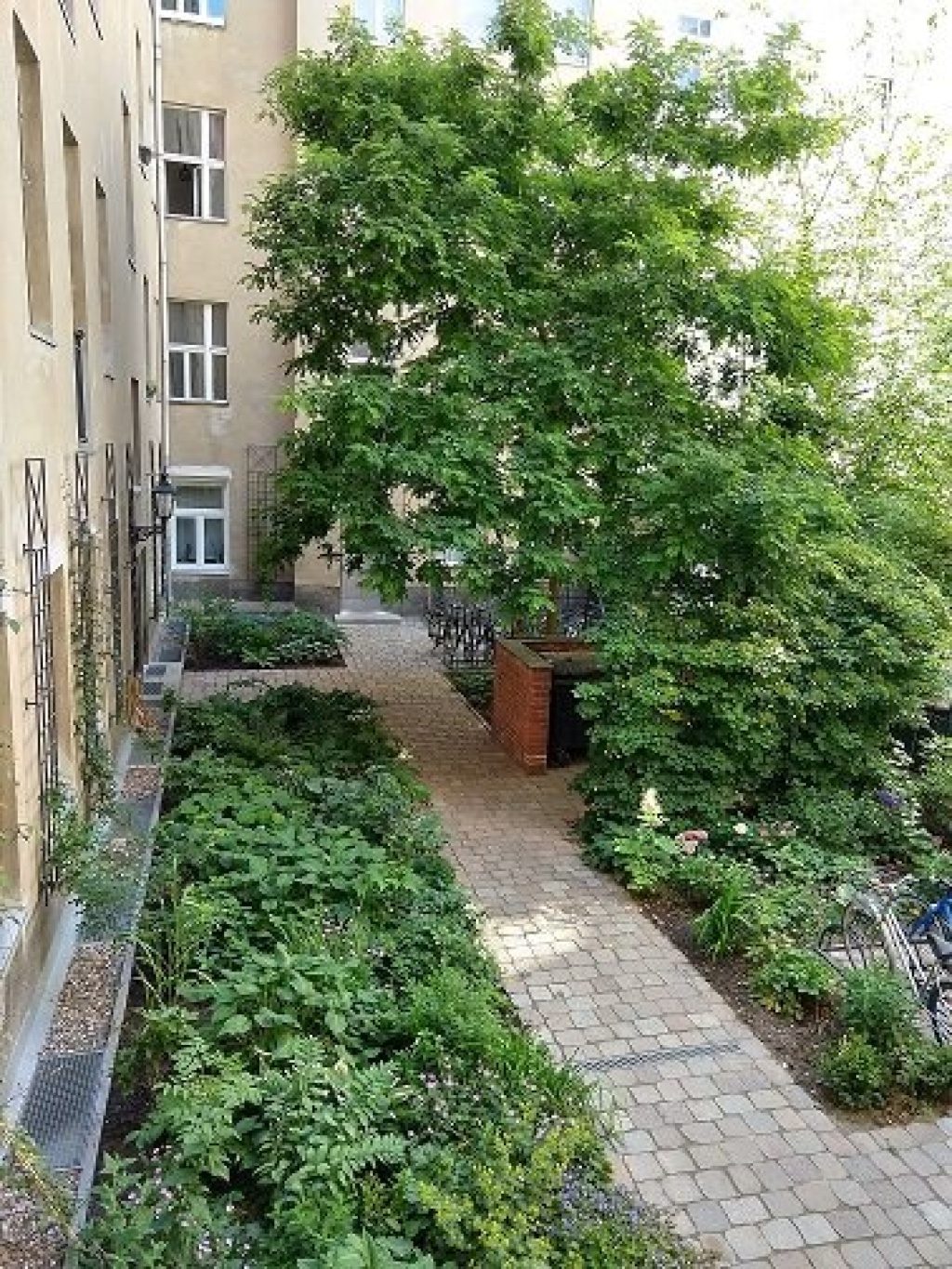 Wohnung Prenzlauer Berg Paul-Robeson - Innenhof