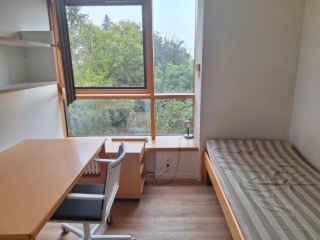 Ad image: Furnished Student Room at ESG Studentenwohnheim – Available 1 August to 30 September (Option for Long-Term Stay)