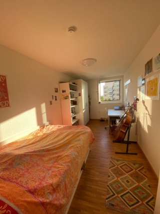 Imagen del anuncio: WG zimmer in der StuSie☀️