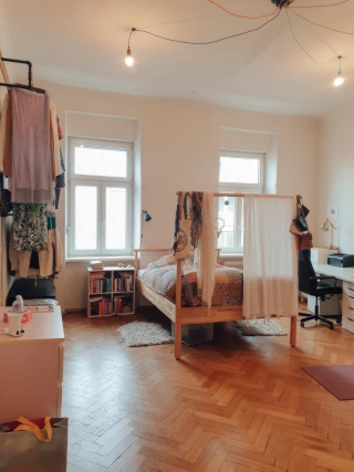 Anzeigenbild: Wunderschönes 30 m2-Zimmer in gemütlicher und zentraler Grazer Altbau-WG